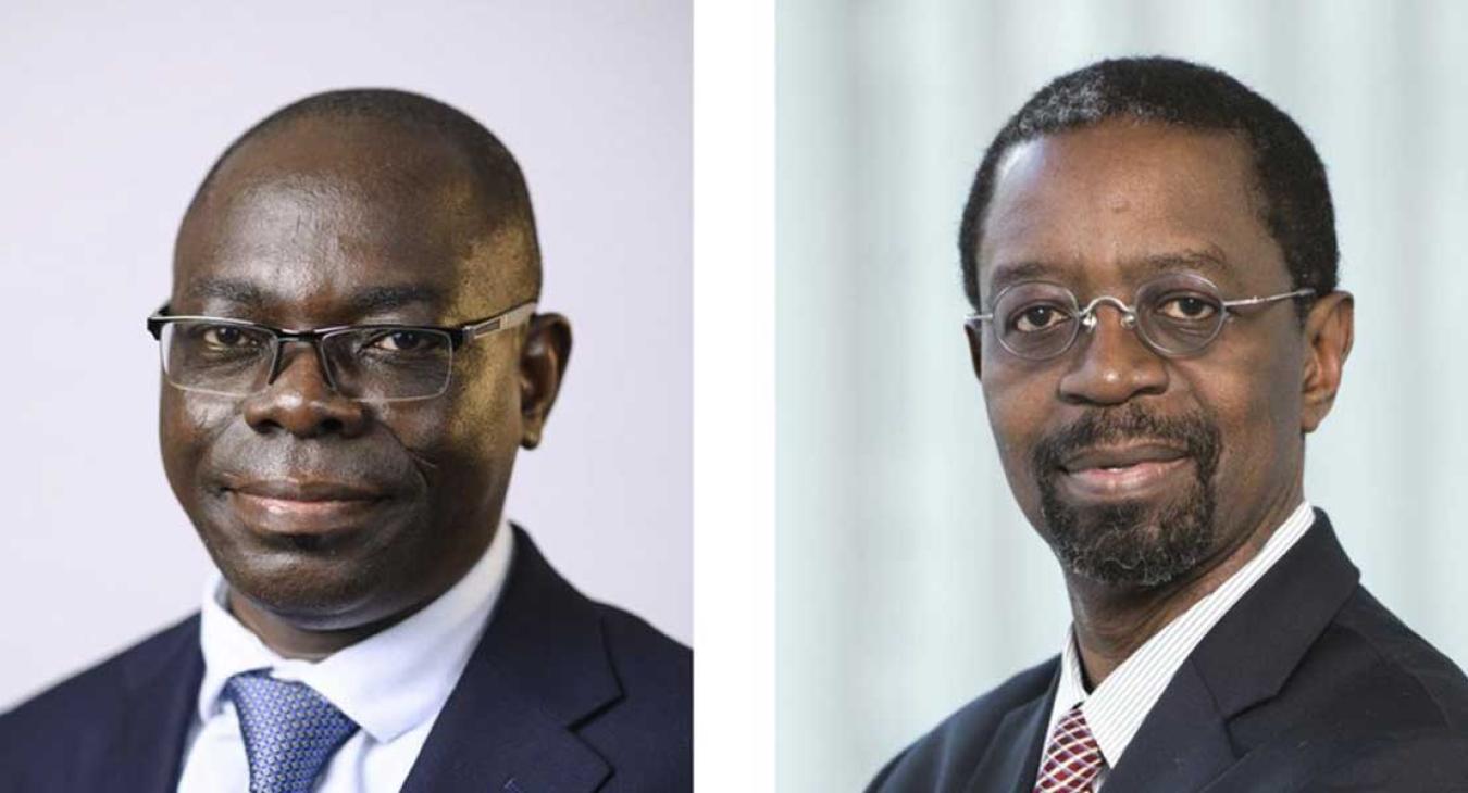 Transition to sunset: the future of foreign aid for basic health services in Africa